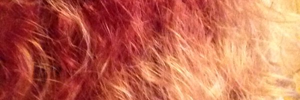Huntynette Profile Banner