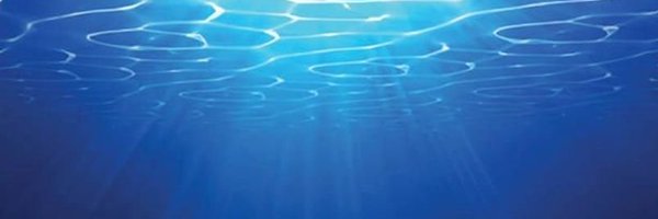 Lady_Sel_ Profile Banner