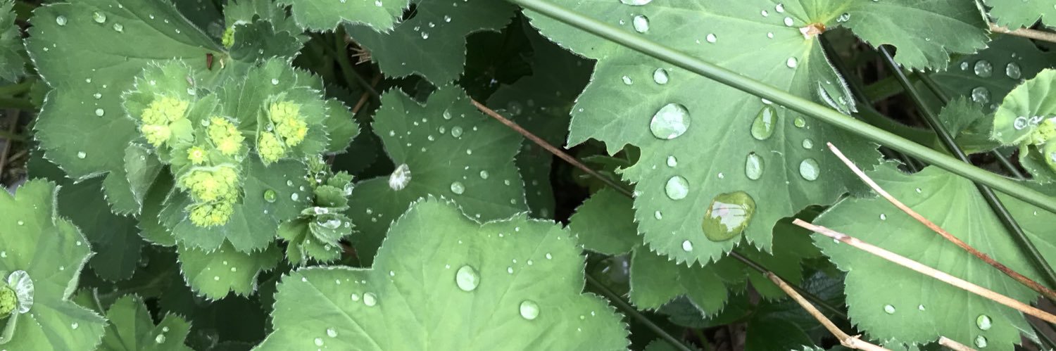 S A R I T A N I G M A banner