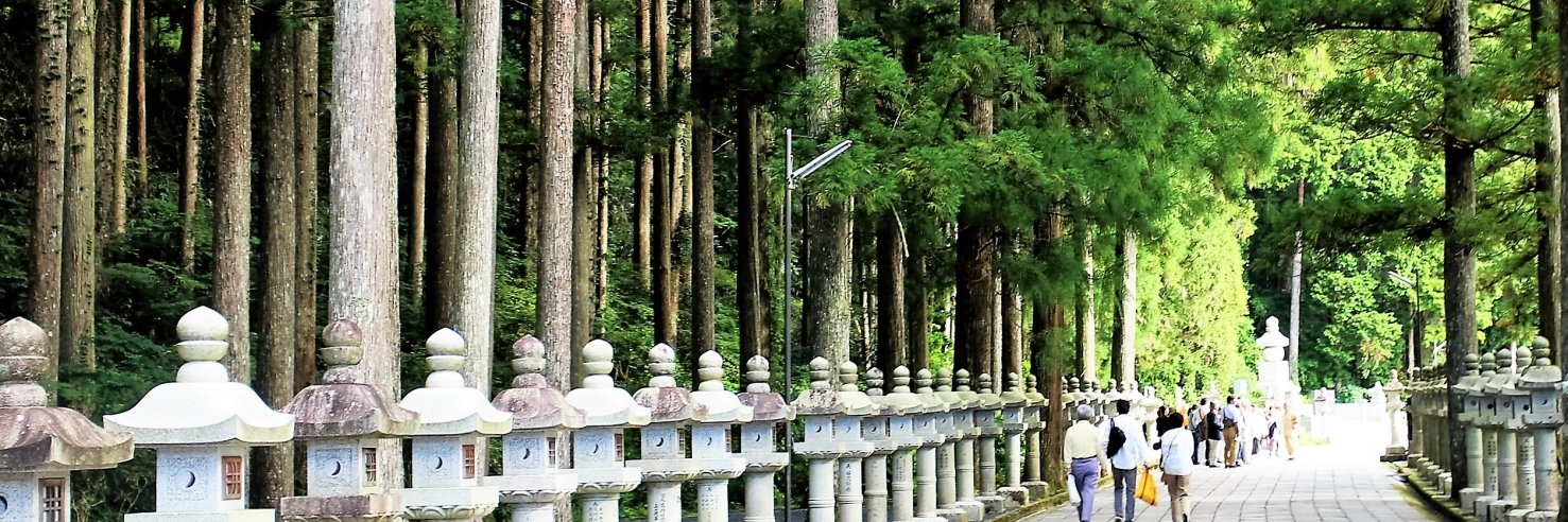 info_zokusei's profile banner image