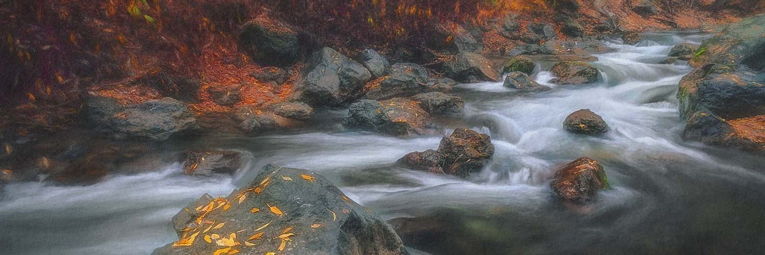 mfoxme's profile banner image