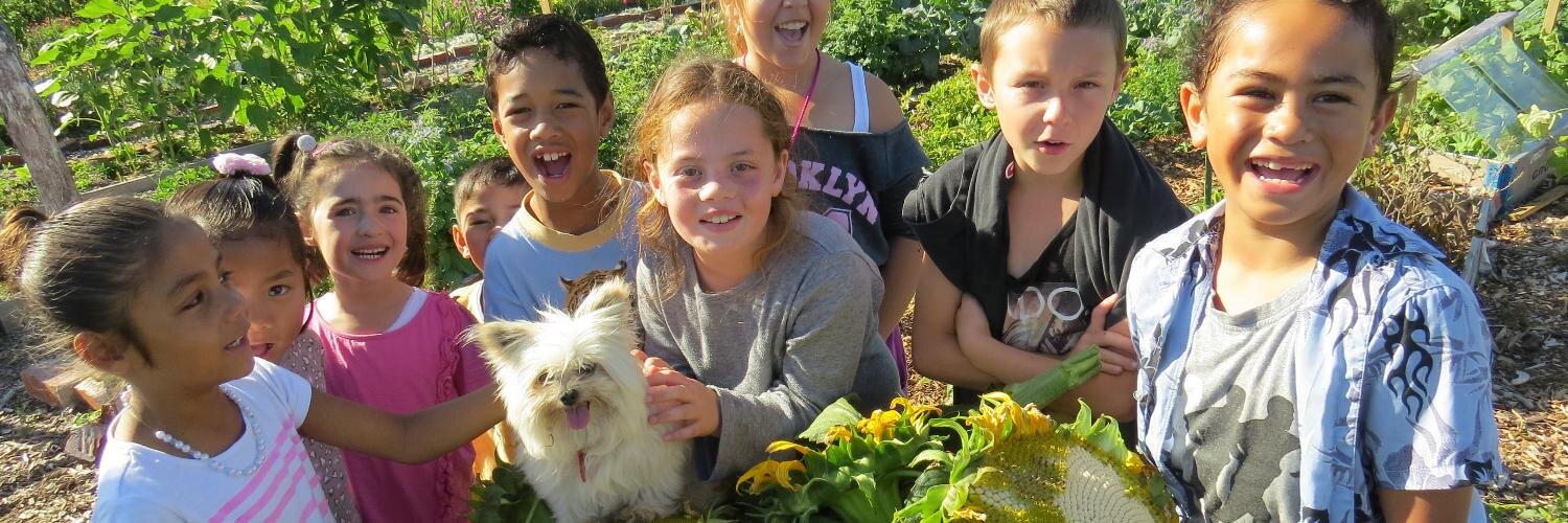 commonunitynz's profile banner image
