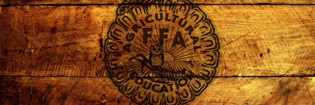 Corynn Flood banner