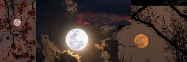 omniaaabass's profile banner image