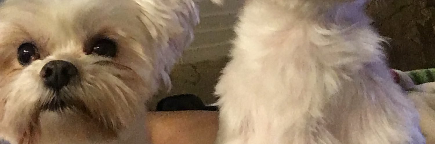 ivanalegado's profile banner image