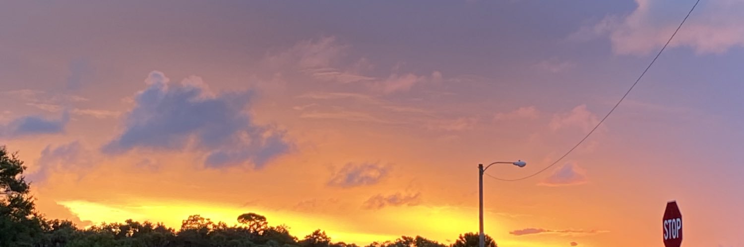 meliya_28's profile banner image