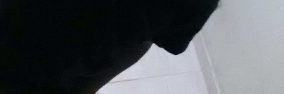 JairoMPG's profile banner image