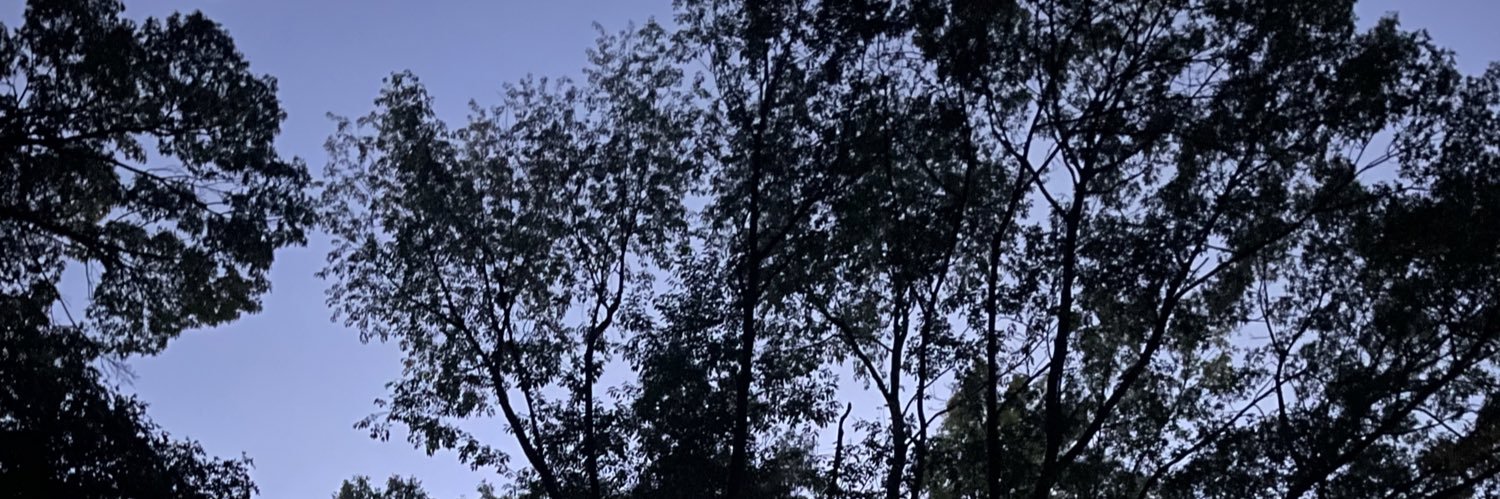 andreabernal_95's profile banner image