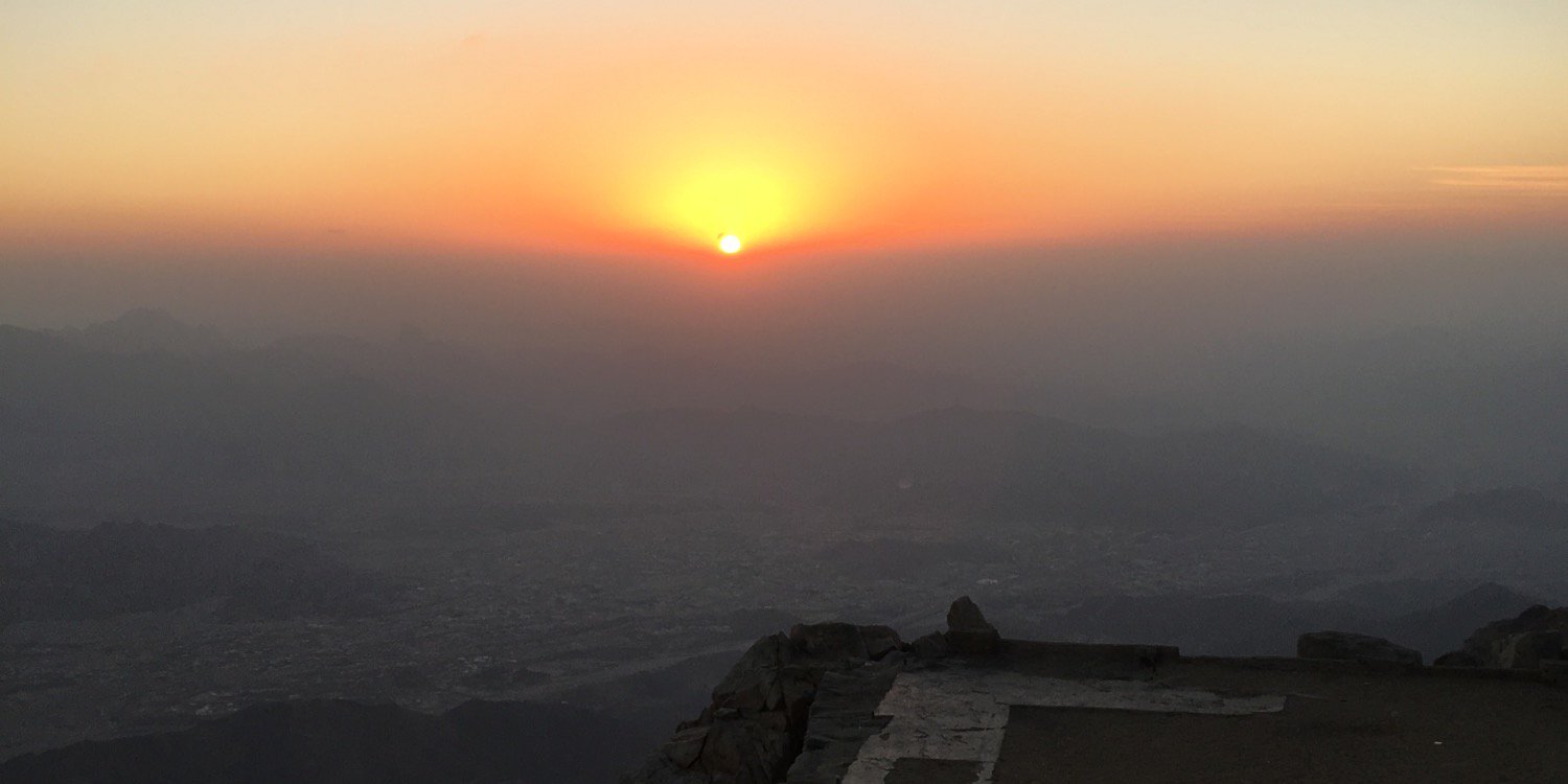 Susan Elliott banner