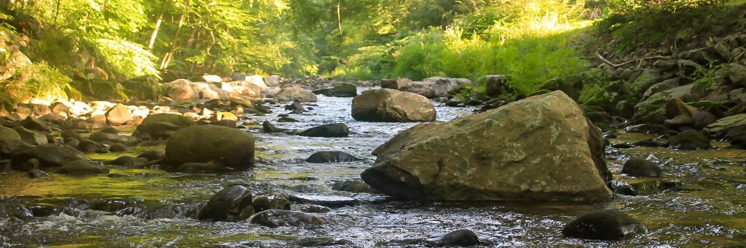Poconotrout's profile banner image