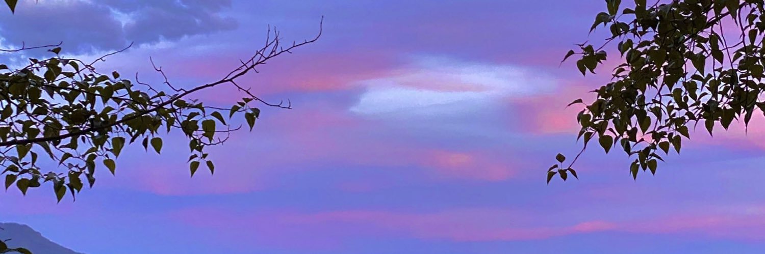 eemolee's profile banner image