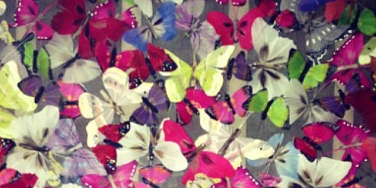 Pau Serna banner