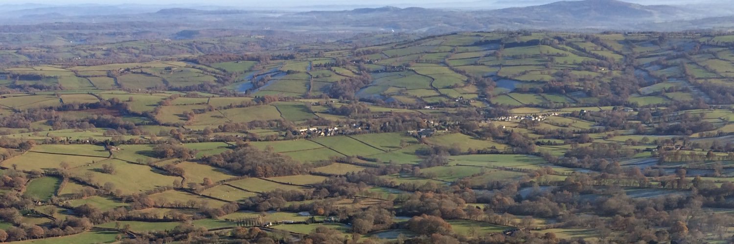 Myra Hunt banner