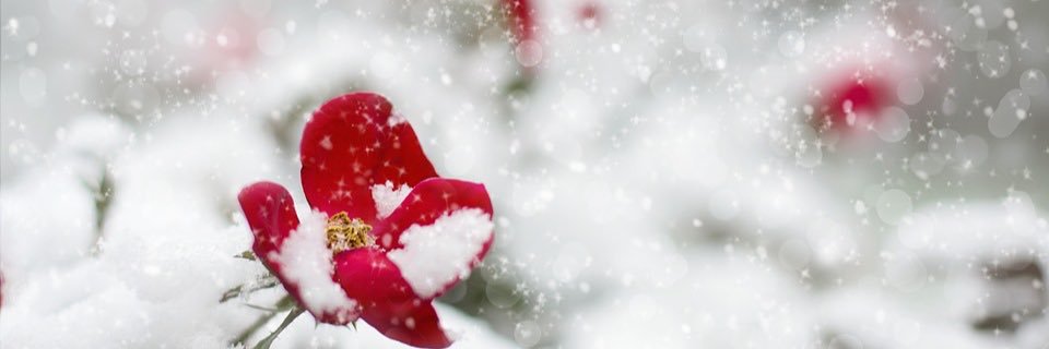 ooohh22's profile banner image