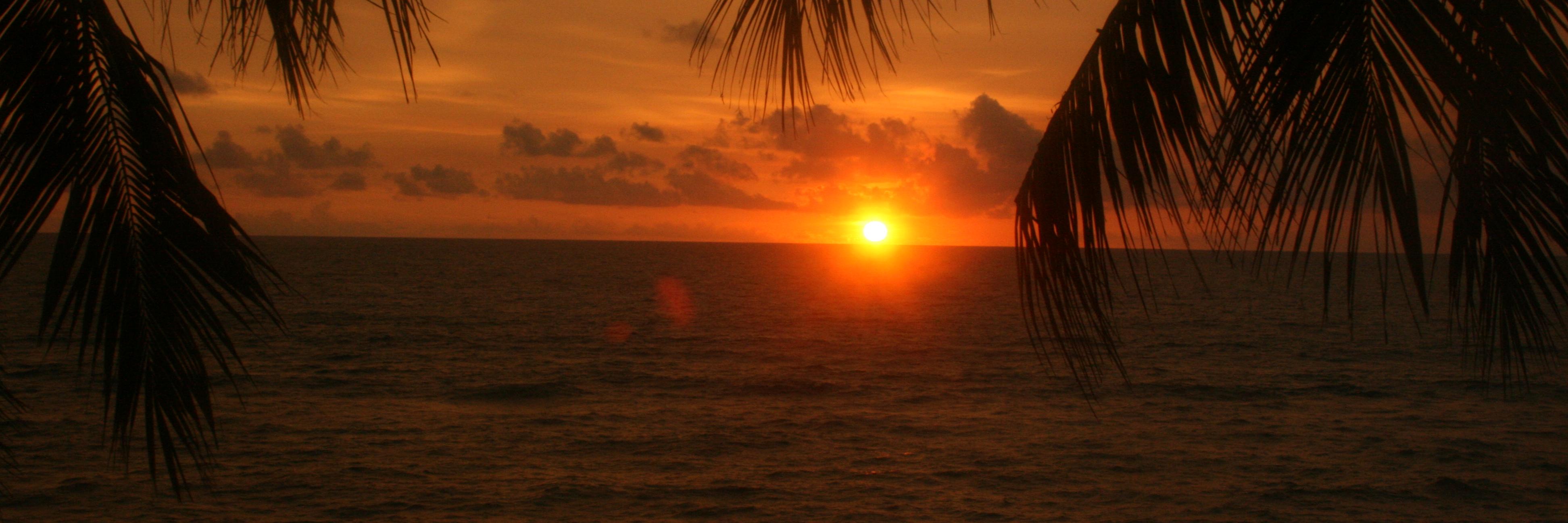 rut28's profile banner image