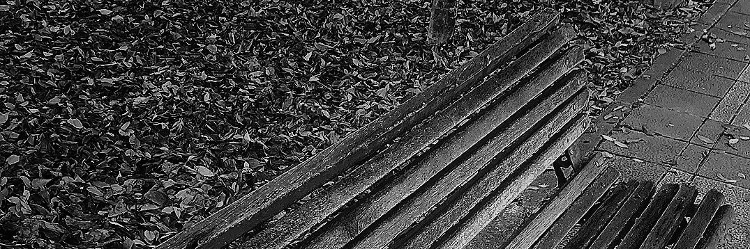 ViniVikinga 🤍💜 banner