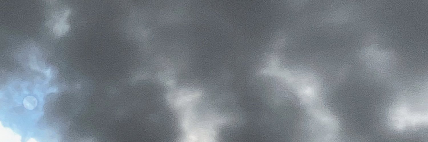 nina isabelle banner