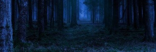 lelerukjaymoh's profile banner image