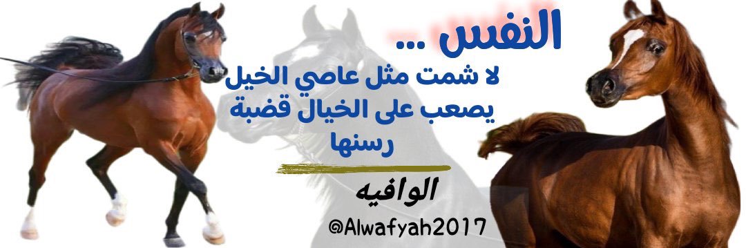 #الوافيه. banner
