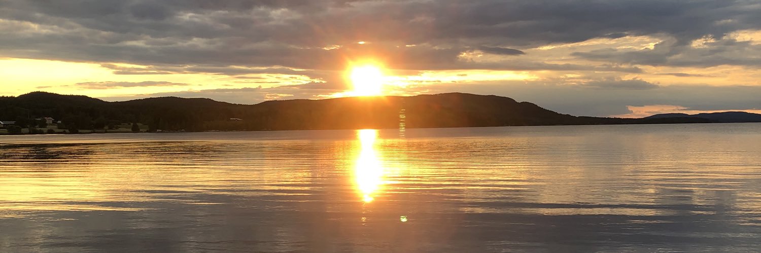 Lottaiskogen's profile banner image