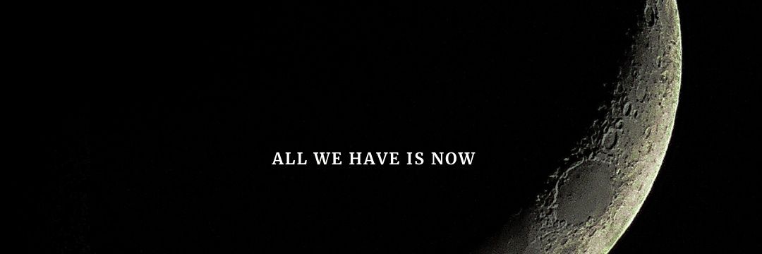 nicoleraam's profile banner image