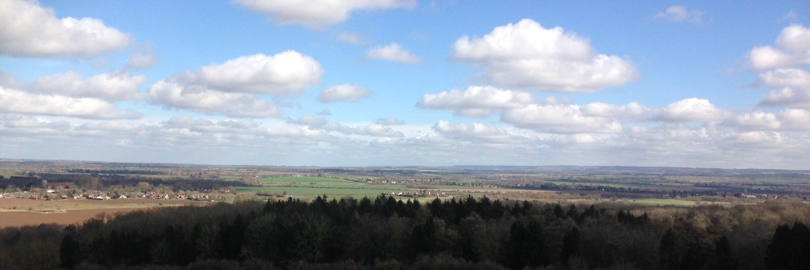 Robin Bennett banner