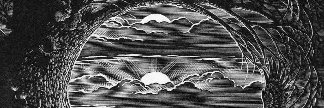 Countrycityvoice banner