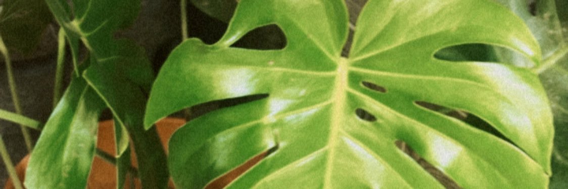 MARIAJOSE03VC's profile banner image