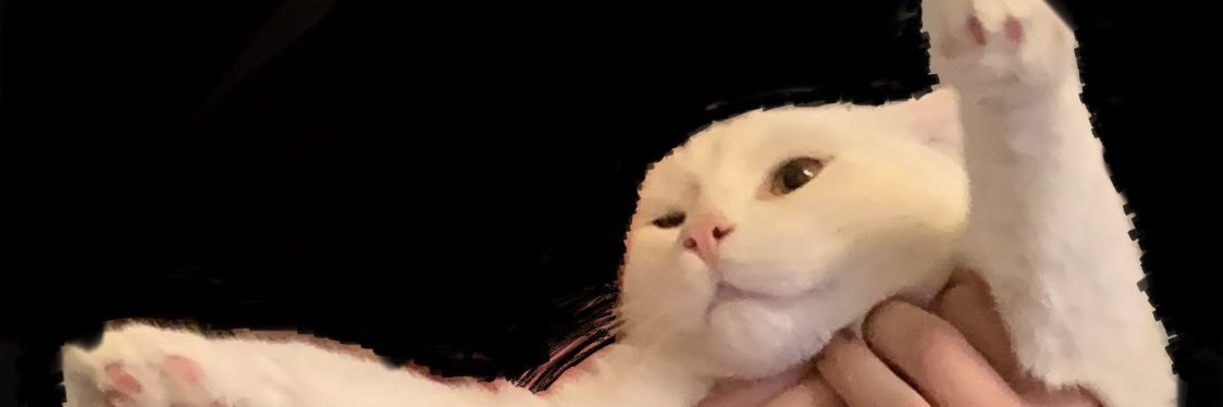 DoughertyAlyssa's profile banner image