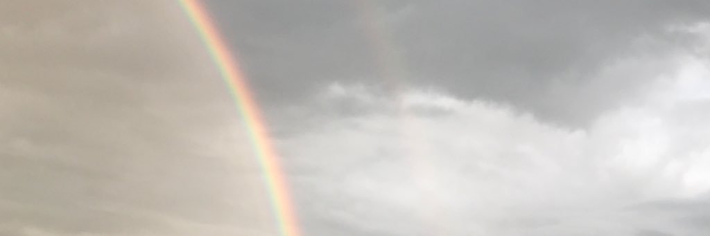 graceemorri's profile banner image