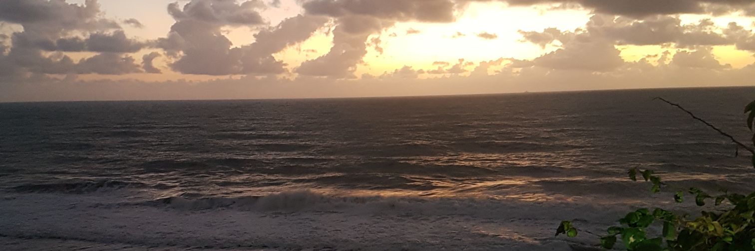 donadanielle's profile banner image