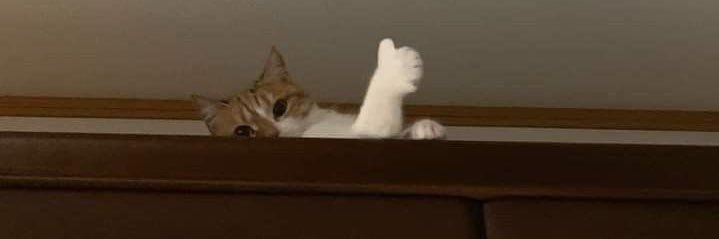 tukang tambal ban banner