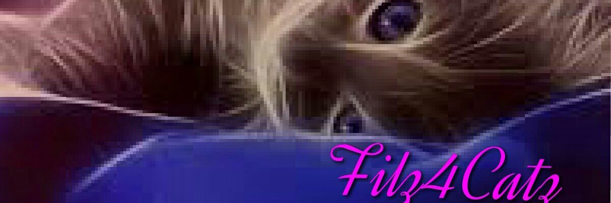 Filz4Catz's profile banner image