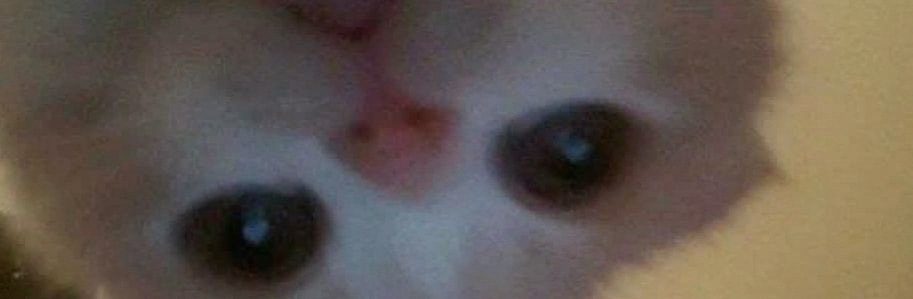 HoslainLorcy's profile banner image