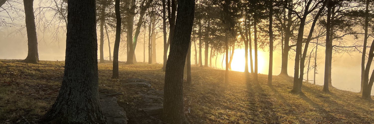 luegskywalker's profile banner image