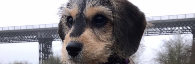 MollyboothM's profile banner image