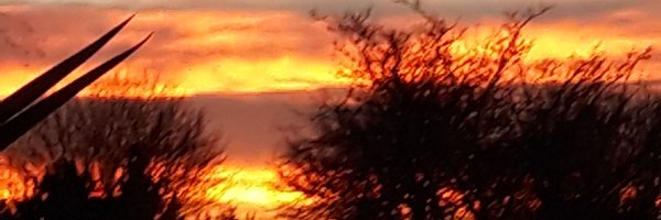 lisadunne15gma1 Profile Banner