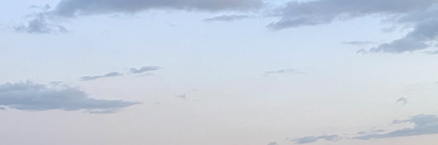 becca 🪩 banner