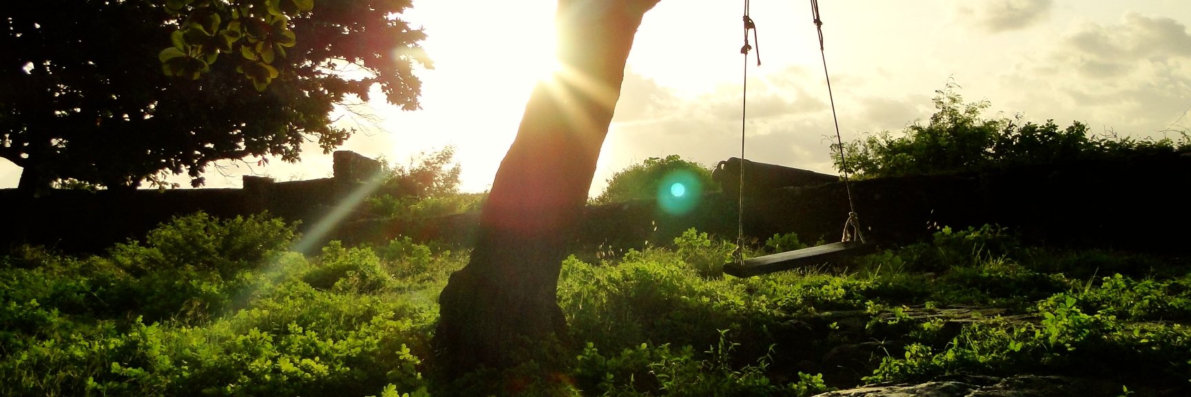 Hugo Bomtempo Furtado banner