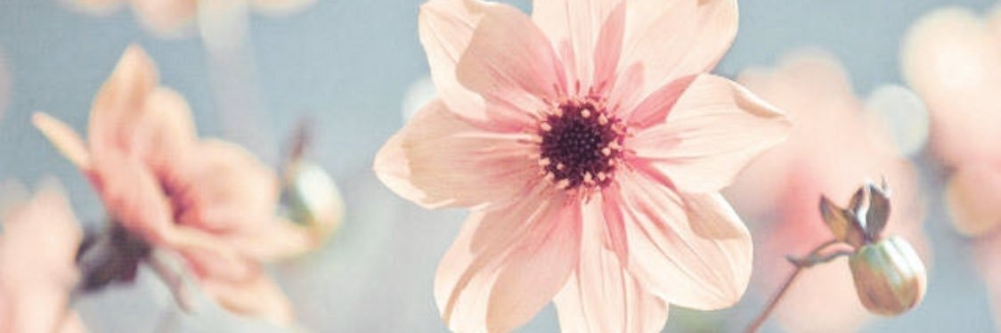_aadery_'s profile banner image