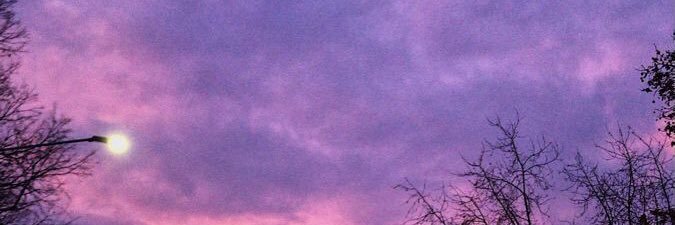 bearrycherry's profile banner image