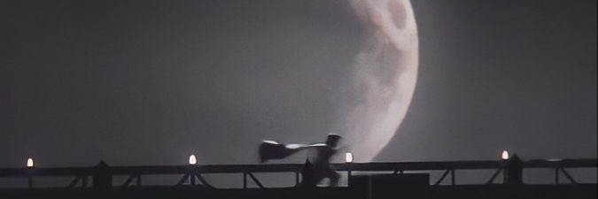 seishyroo's profile banner image