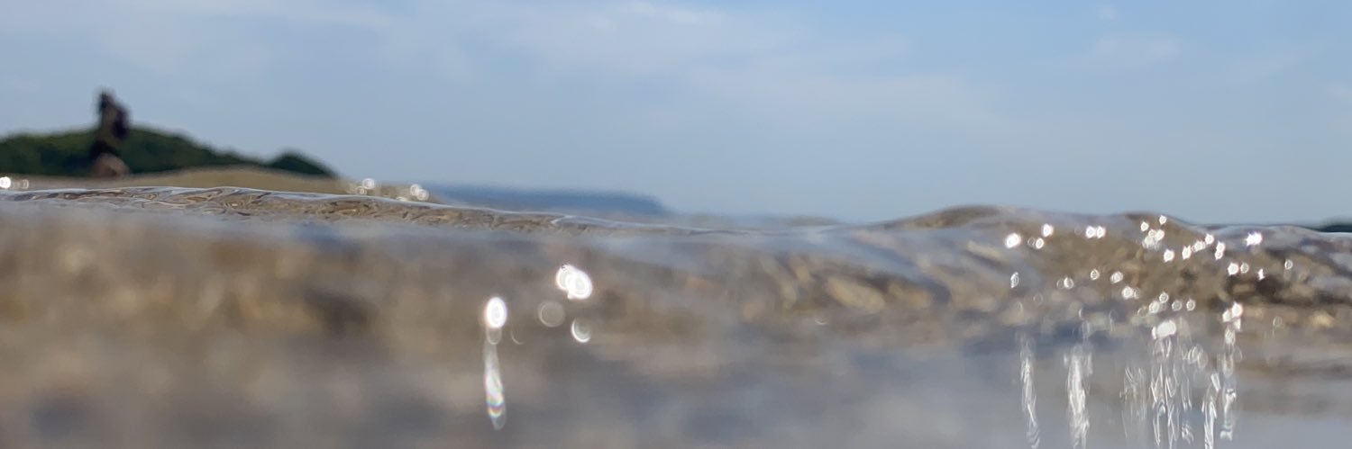 Sigure_shachoo's profile banner image