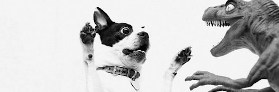 Mrs. DiTarando banner