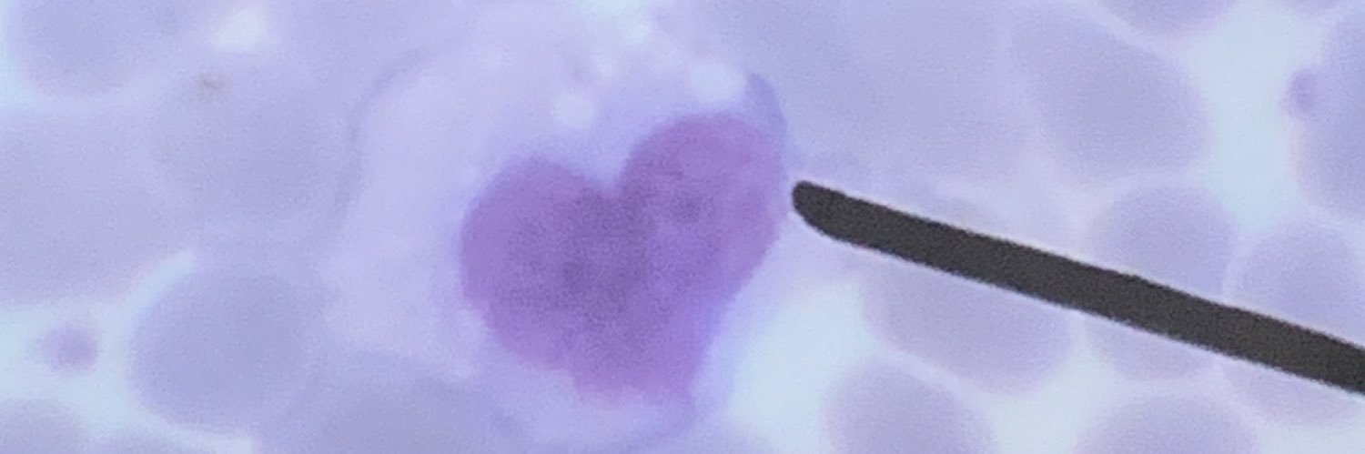 bravinha_c's profile banner image