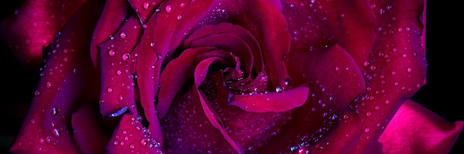 RedheadBeauty09's profile banner image