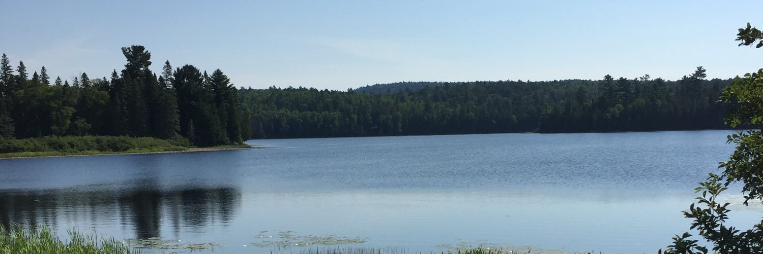 nolashell17's profile banner image