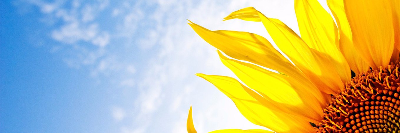 pearls_scale's profile banner image