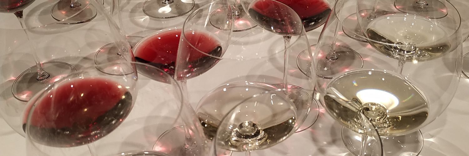 Patxivins's profile banner image