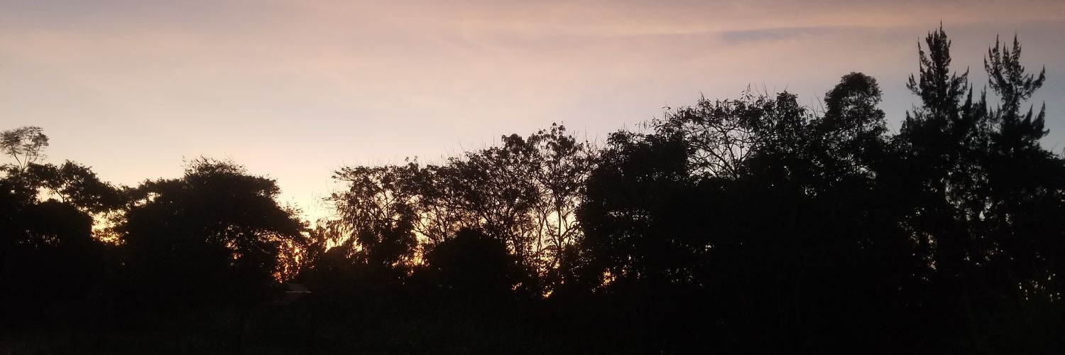 Mejajuma's profile banner image